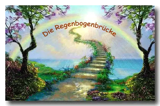 Tierbestattung Regenbogenbrücke Tierbestattung Regenbogenbrücke